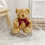Teddy Bear Plush Toy