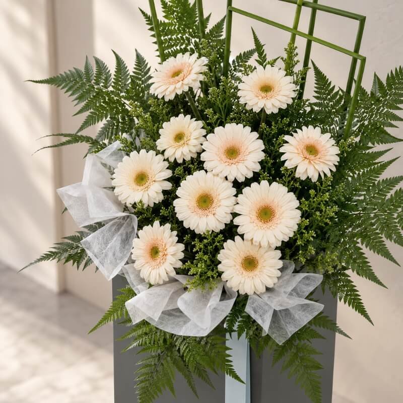 Solicitude Condolence Stand