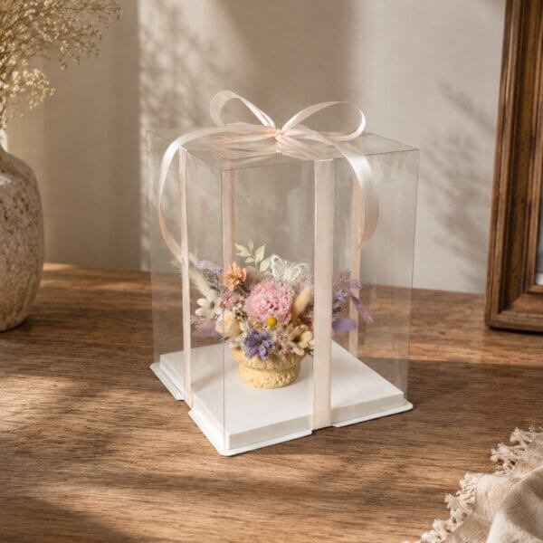 Timeless Mini Embrace + Giftbox