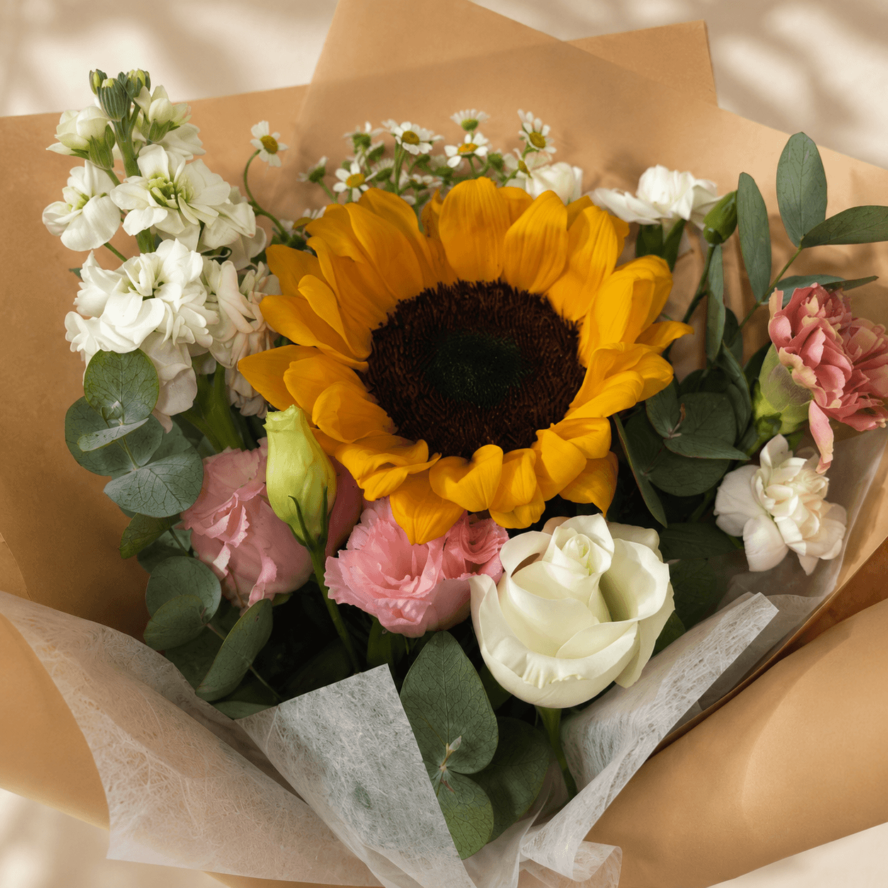 Sunlit Gratitude